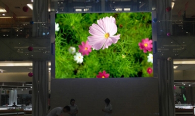 陳砦花卉